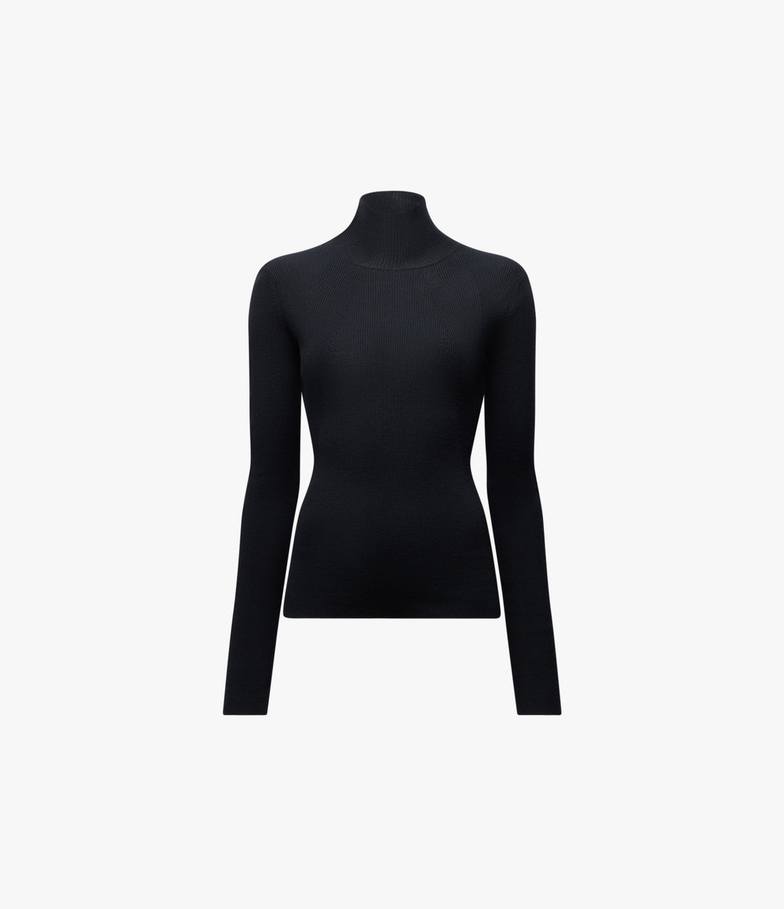 Rib Knitwear Turtleneck | Black