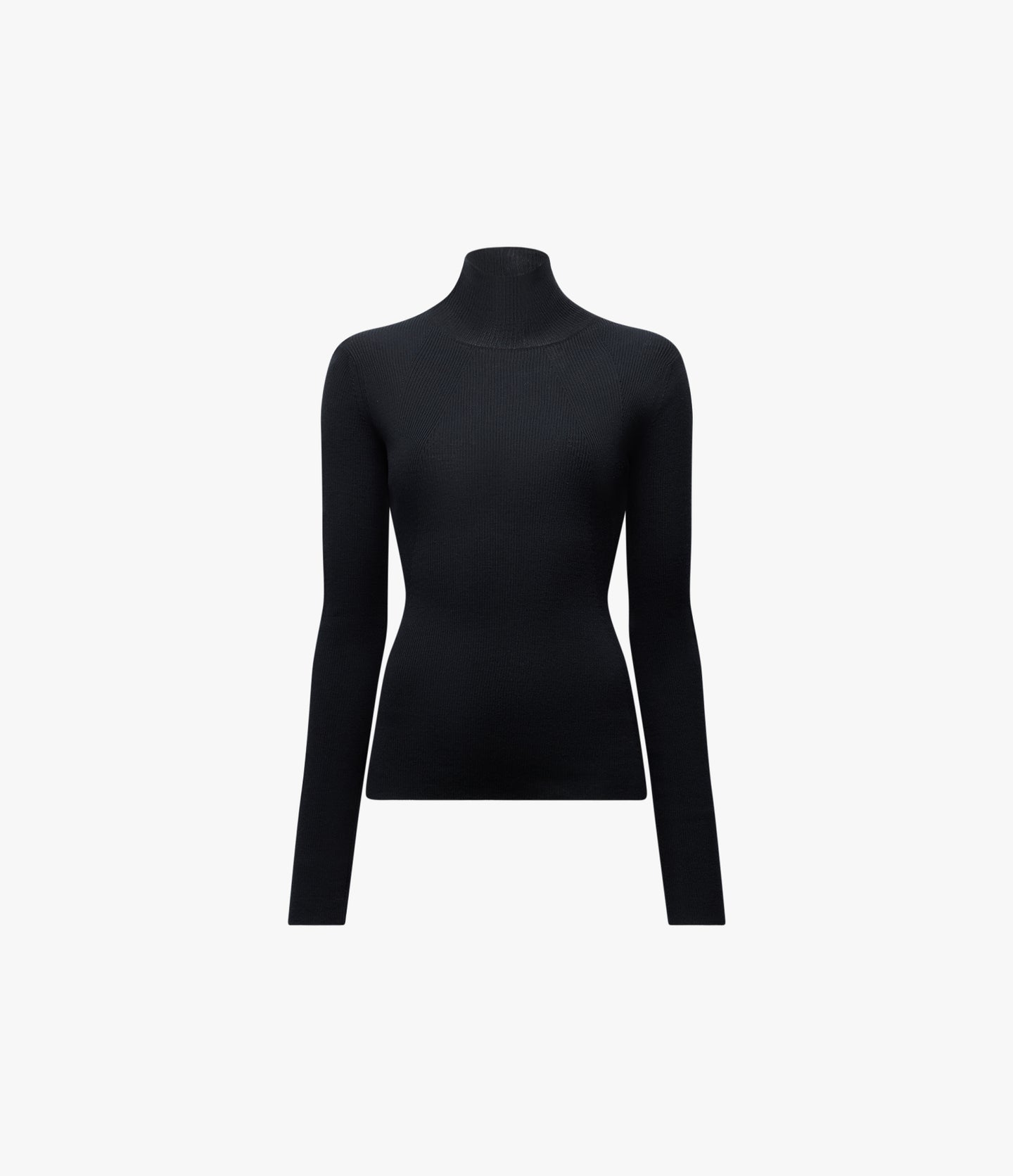 Rib Knitwear Turtleneck | Black